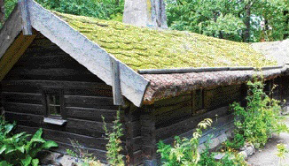 Преимущества системы «Зеленая крыша»